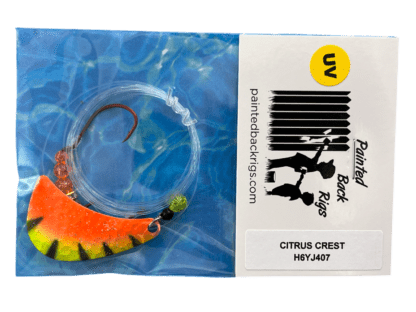 CITRUS CREST crawler harness - Image 4
