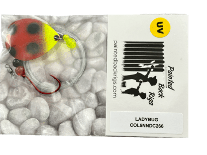 LADYBUG night crawler harness - Image 4
