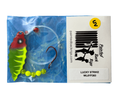 LUCKY STRIKE worm harness - Image 4