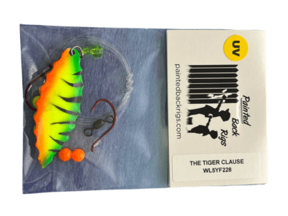 THE TIGER CLAUSE crawler harness - Image 4