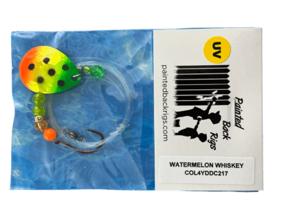 WATERMELON WHISKEY worm harness - Image 4